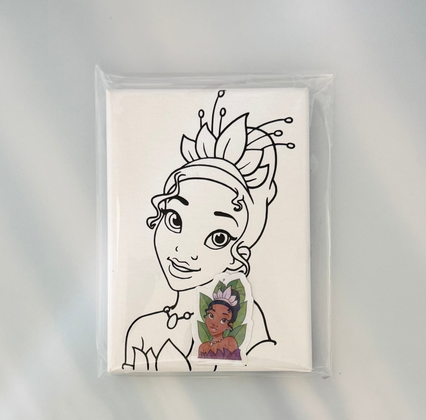 Princess pre printed canvas 5x7