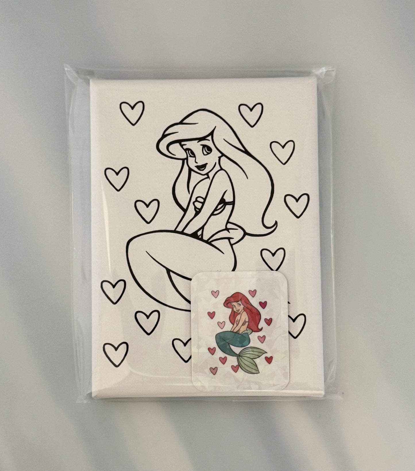 Pre-printed mermaid paint canvas 5x7